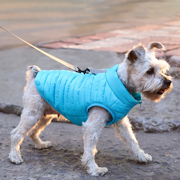 Winter Warm Dog Jacket