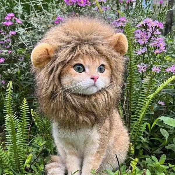 Lion Mane for Cats