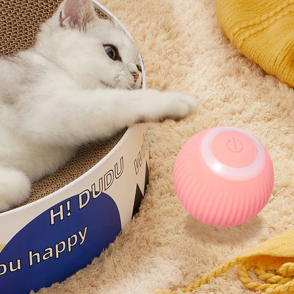 Automatic Rolling Cat Ball