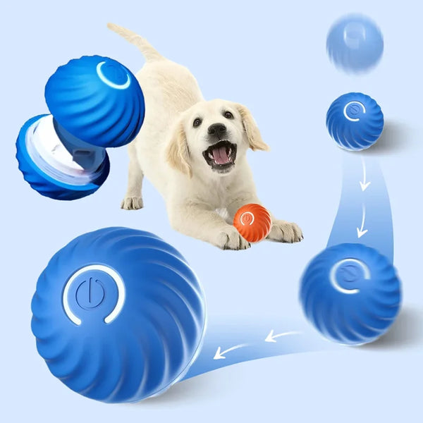 Smart Interactive Dog Toy